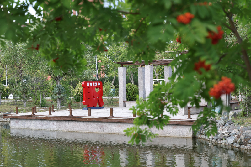 195A2673.JPG 195A2673.JPG